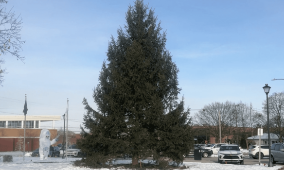 رجل أعمال مسلم أميركي ينقذ احتفال عيد الميلاد في ديربورن هايتس